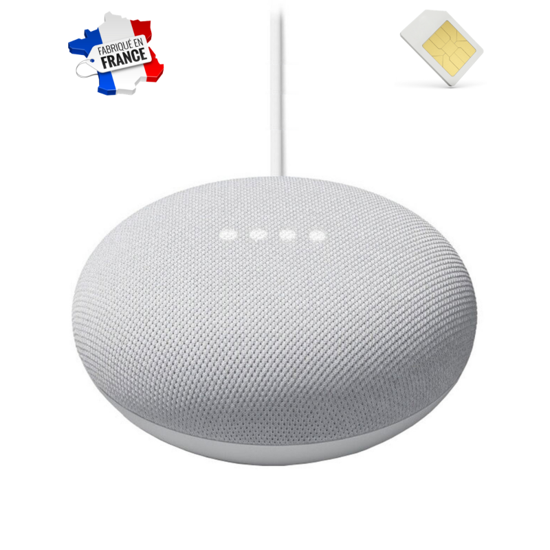 Assistant vocal - Google Nest mini - Micro espion GSM