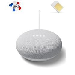 Assistant vocal google nest mini micro GSM