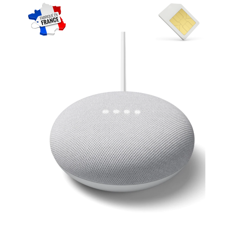 Assistant vocal google nest mini micro GSM