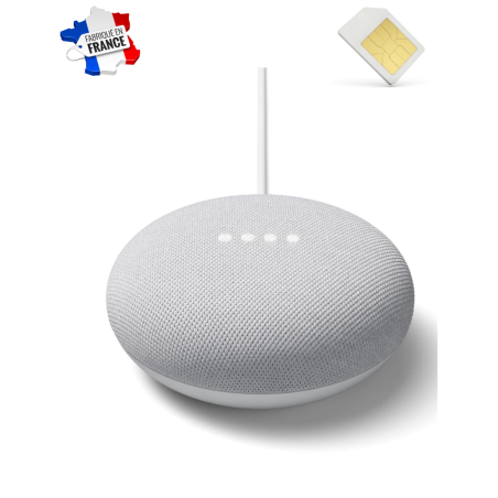 Assistant vocal google nest mini micro GSM