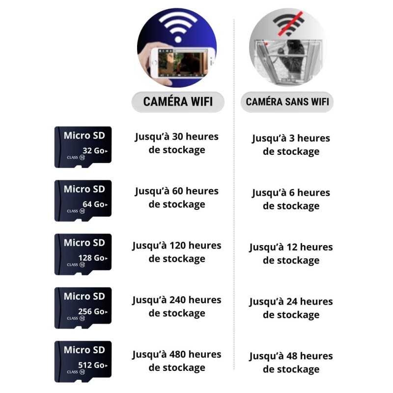 Carte mémoire Micro SD 32 Go - Securvision