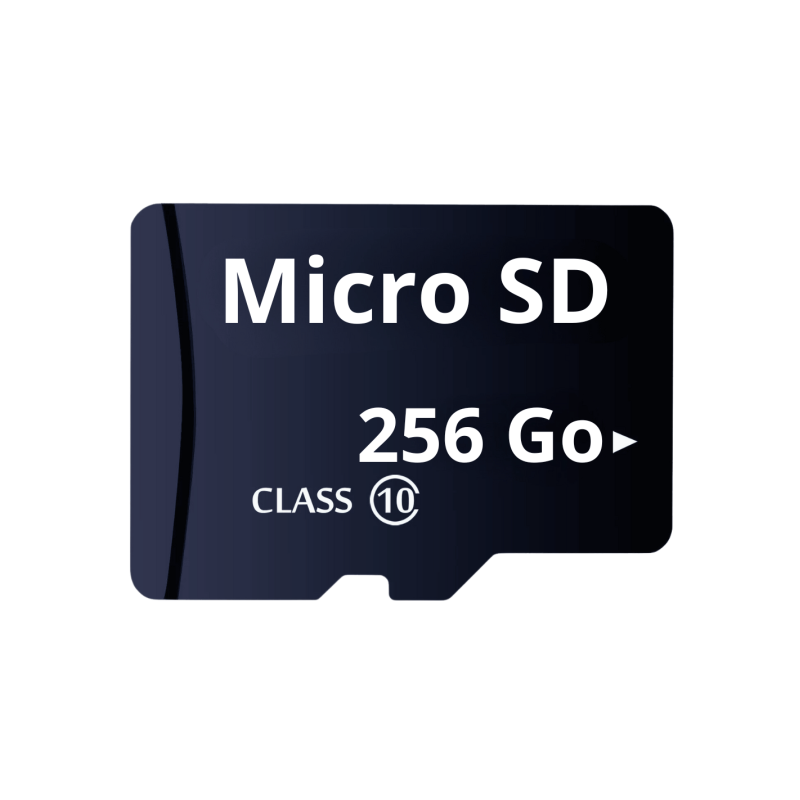 Carte mémoire Micro SD 256 Go - Securvision