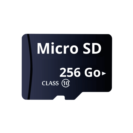 Carte mémoire Micro SD 256 Go - Securvision