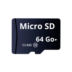 Carte mémoire Micro SD 64 Go - Securvision